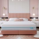 Матрас Промтекс-Ориент Soft Standart Cocos 1 150х185